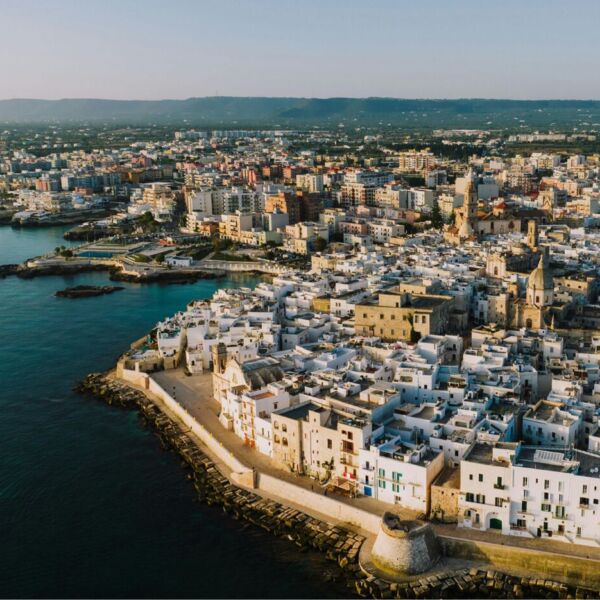Work in Progress Monopoli